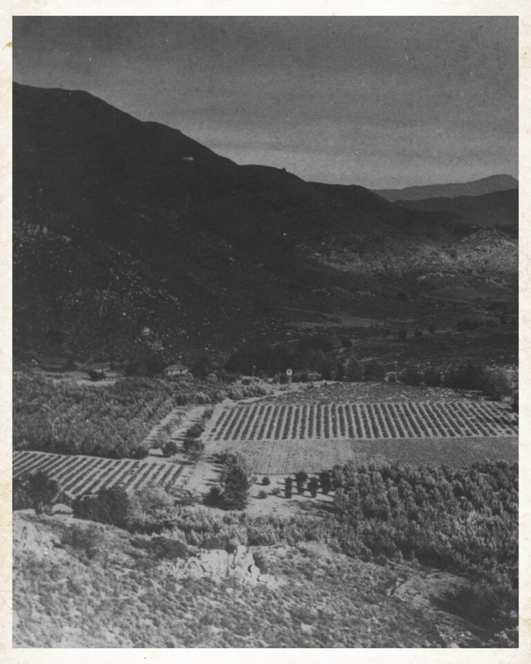 Dehesa Valley - 1940's